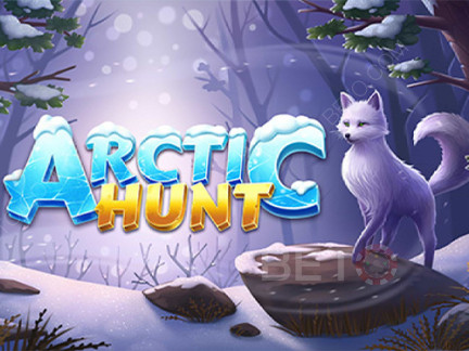 Arctic Hunt Démo
