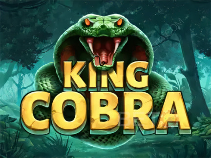 King Cobra Démo