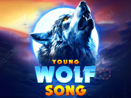 Young Wolf Song Démo