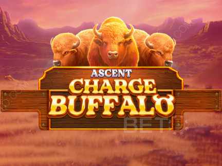 Charge Buffalo-ASCENT Démo