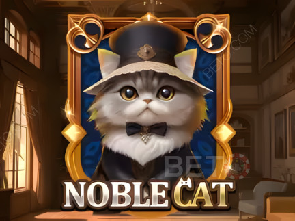 Noble Cat Démo