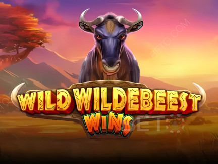 Wild Wildebeest Wins Démo