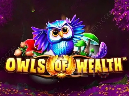 Owls of Wealth Démo