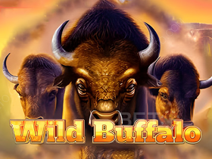 Wild Buffalo Démo