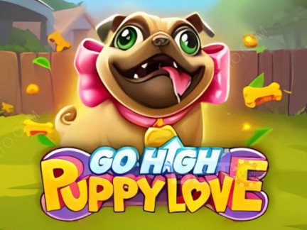 Go High Puppy Love Démo