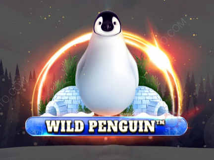Wild Penguin Démo