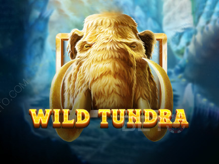 Wild Tundra Démo