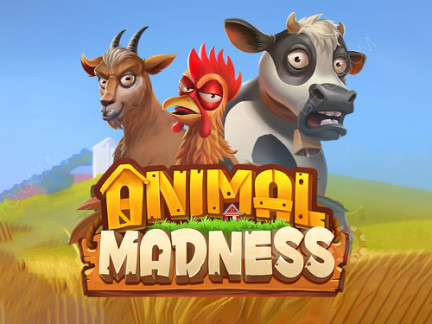Animal Madness Démo