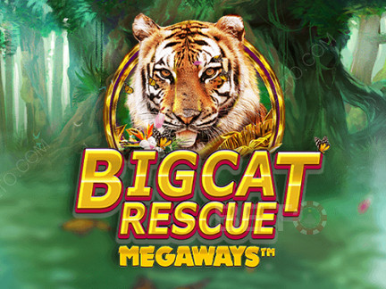 Big Cat Rescue Megaways Démo