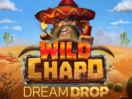 Wild Chapo Dream Drop Démo